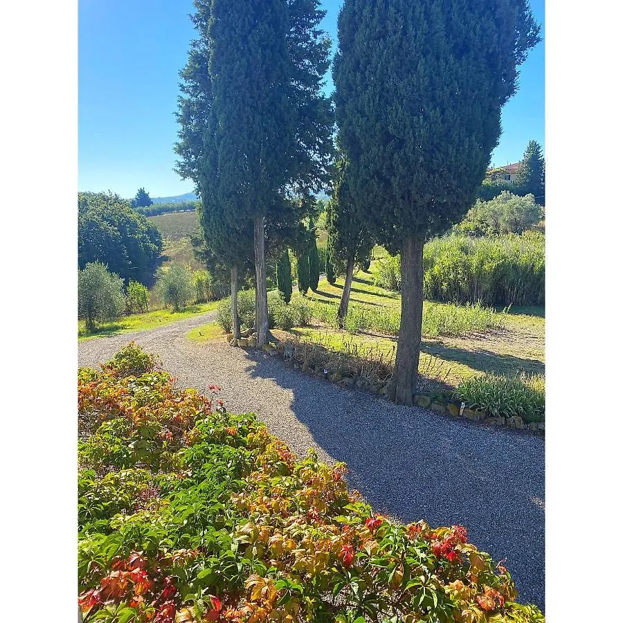 Villa Casa Collina Castelfalfi With Amazing Salt Waterpool & Airco & Vip Service Italy