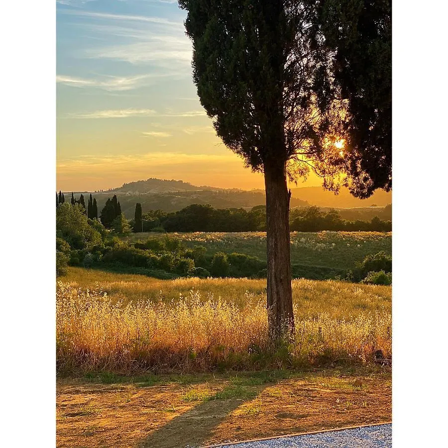 Villa Casa Collina Castelfalfi With Amazing Salt Waterpool & Airco & Vip Service Italy